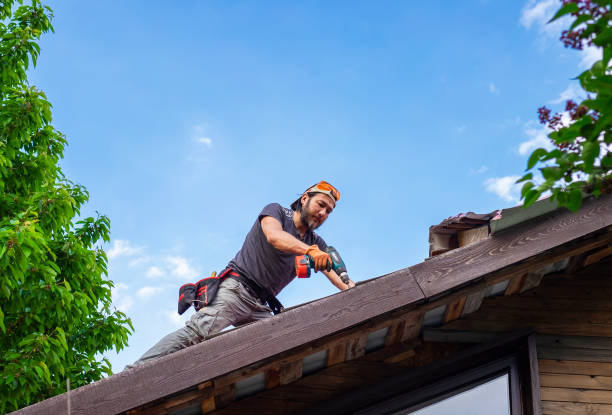 Trusted Elm Creek, NE Roofing service Experts